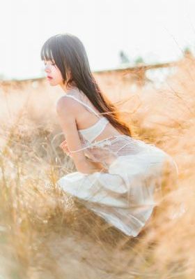 1—60集电视剧免费观看